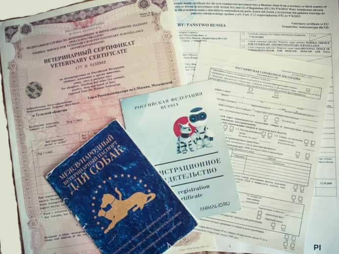 документы на вывоз животных документы на вывоз животных