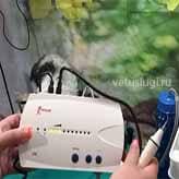 чистка зубов собаке ультразвуком чистка зубов собаке ультразвуком